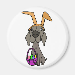 Imã Weimaraner engraçado bonito com orelhas do coelho