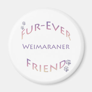 Imã Weimaraner Fuever Amigo