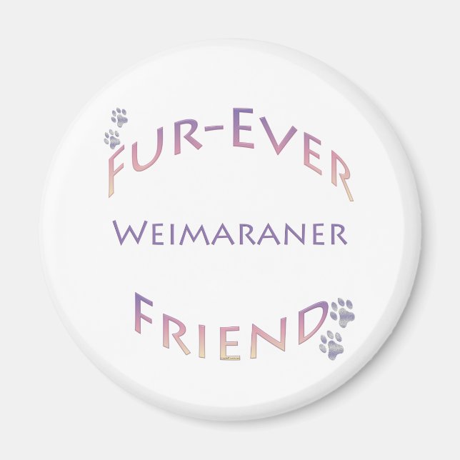 Imã Weimaraner Fuever Amigo (Frente)