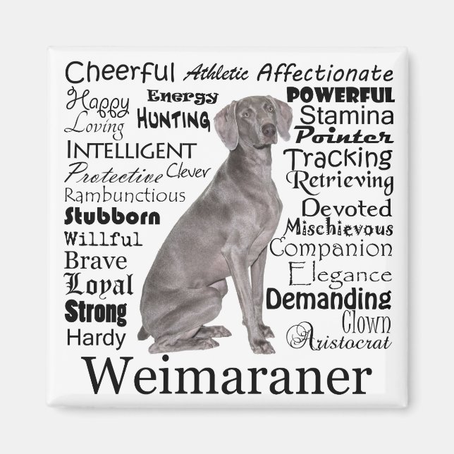 Imã Weimaraner Magnet (Frente)