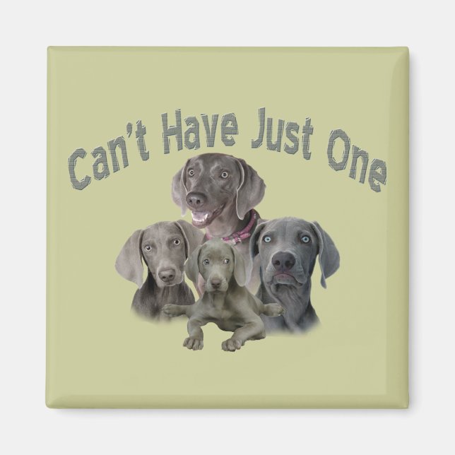 Imã Weimaraner não pode ter apenas um (Frente)