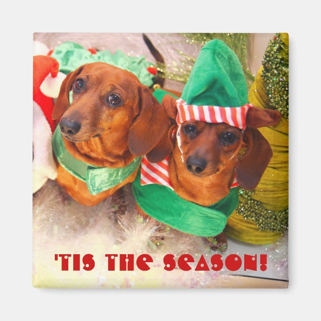 Imã Weiner Dog Christmas Elf (Frente)
