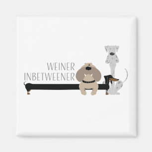 Imã Weiner Inbetweener