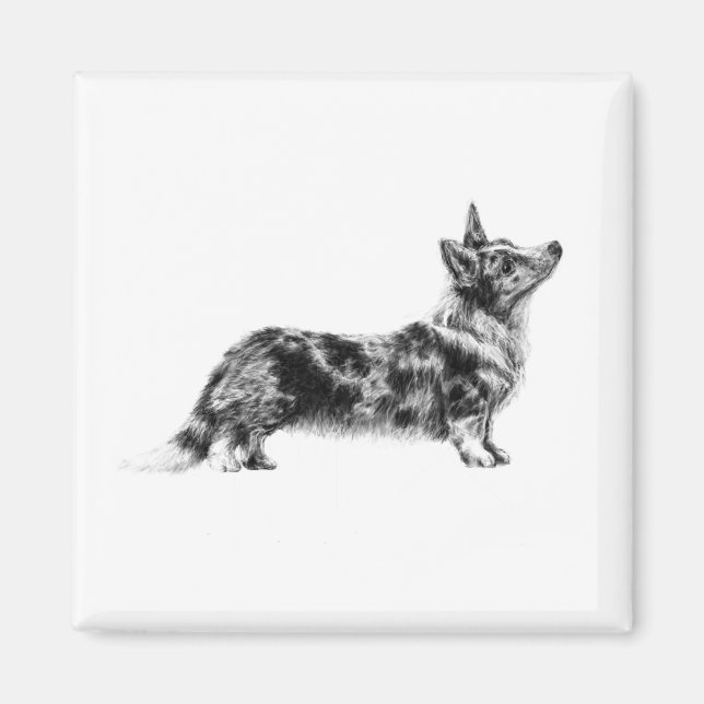 Imã Welsh Cardigan Corgi magnet (Frente)
