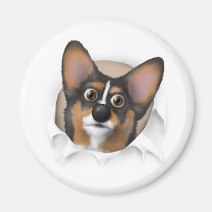 Imã Welsh Corgi 2 Comprando