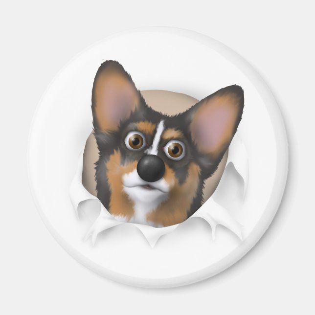 Imã Welsh Corgi 2 Comprando (Frente)