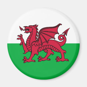 Imã Welsh Dragon