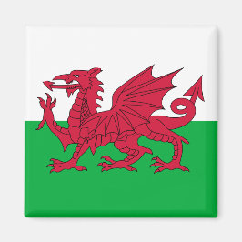 Imã Welsh Flag (País de Gales) (Welsh Dragon)