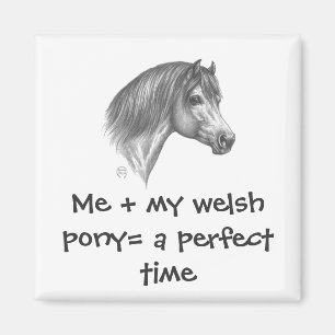 Imã Welsh Pony & Cob Society of America