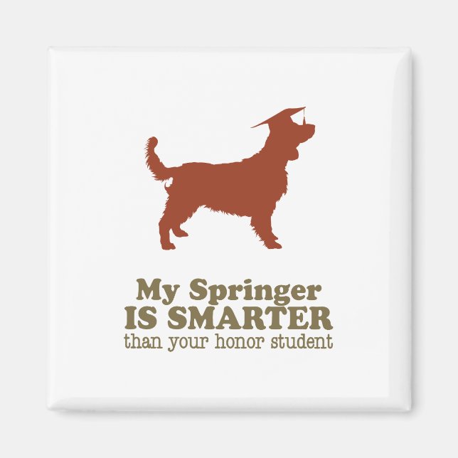 Imã Welsh Springer Spaniel (Frente)