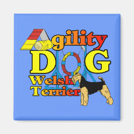 Imã Welsh_Terrier_Agilidade