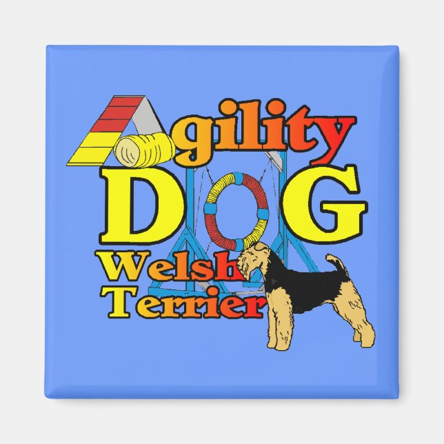 Imã Welsh_Terrier_Agilidade (Frente)