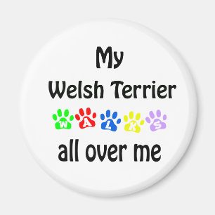 Imã Welsh Terrier Walks Design