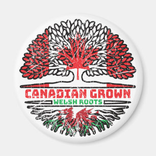 Imã Welsh Wales Canada Tree Roots Flag