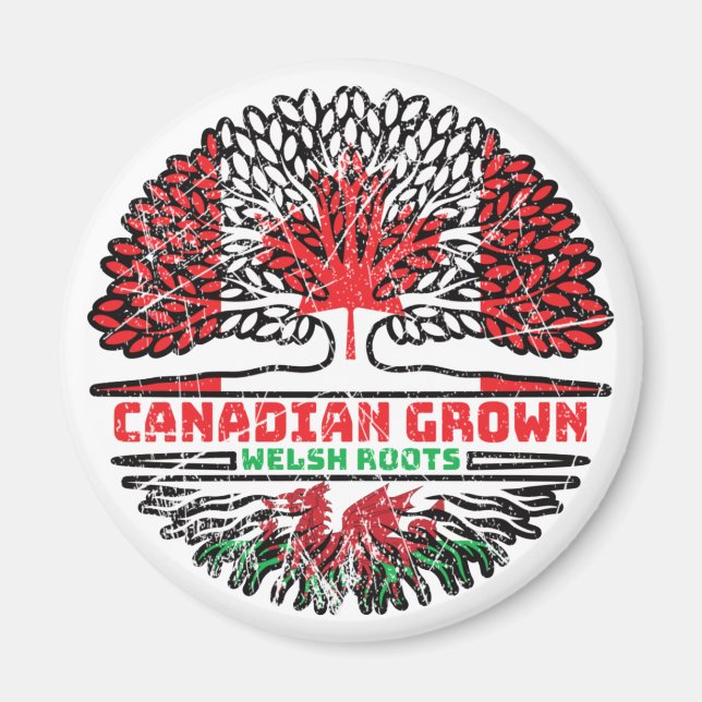 Imã Welsh Wales Canada Tree Roots Flag (Frente)