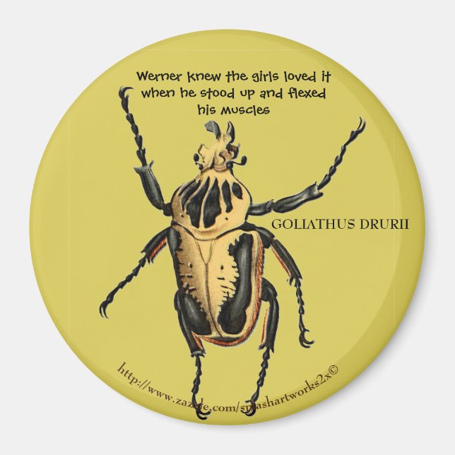 Imã "Werner flexionou seus músculos para as meninas" (Frente)