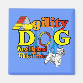 Imã West_Highland_White_Terrier_Agilidade