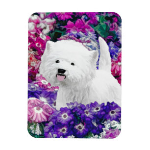 Ímã West Highland White Terrier Pintando Arte Canina