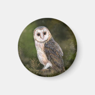 Imã Western Barn Owl - Imagem de Cores-d'Água