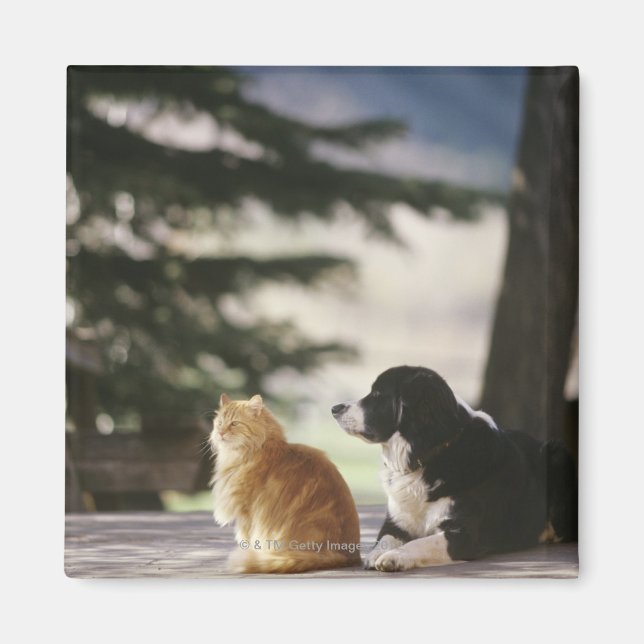 Imã Western Colorado, EUA (Frente)