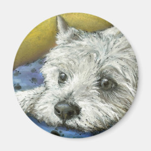 Imã Westie Daydreaming