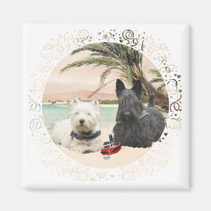 Imã Westie e Scottie na Praia Palmy