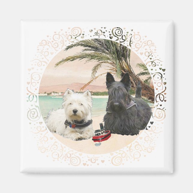 Imã Westie e Scottie na Praia Palmy (Frente)