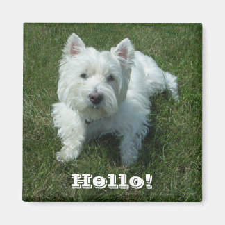 Imã Westie Hello Photo Magnet