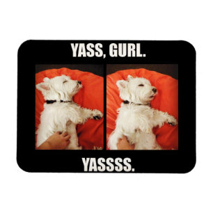 Ímã Westie Yass Gurl engraçado