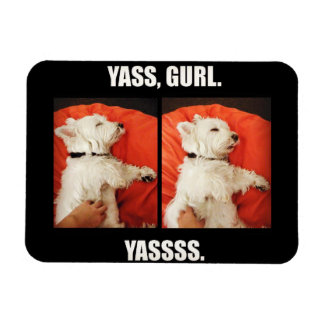 Ímã Westie Yass Gurl Funny