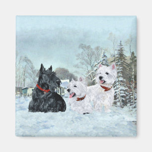 Imã Westies e Scottie no Inverno