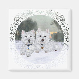 Imã Westies no Inverno