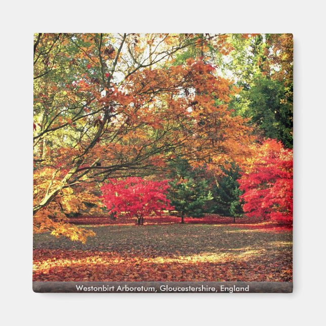 Imã Westonbirt Arboretum, Gloucestershire, Inglaterra (Frente)