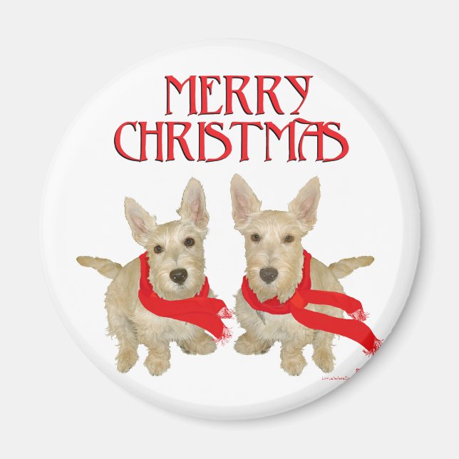 Imã Wheaten Scottish Terrier Natal (Frente)