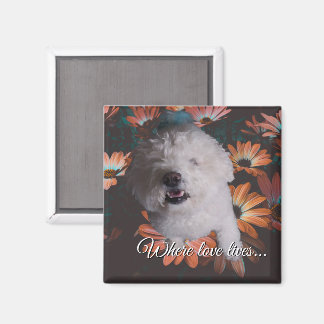 Imã Where Love Lives Magnet