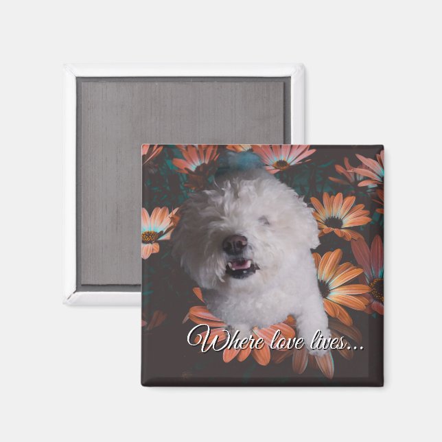 Imã Where Love Lives Magnet (Front/Back)