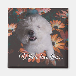 Imã Where Love Lives Magnet