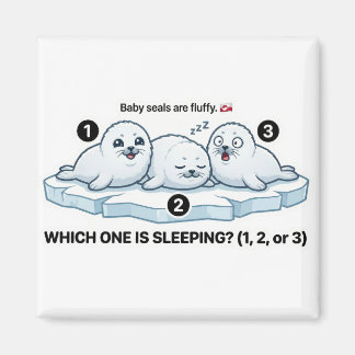 Imã Which One Is Sleeping? – Baby Seal Learning Magnet