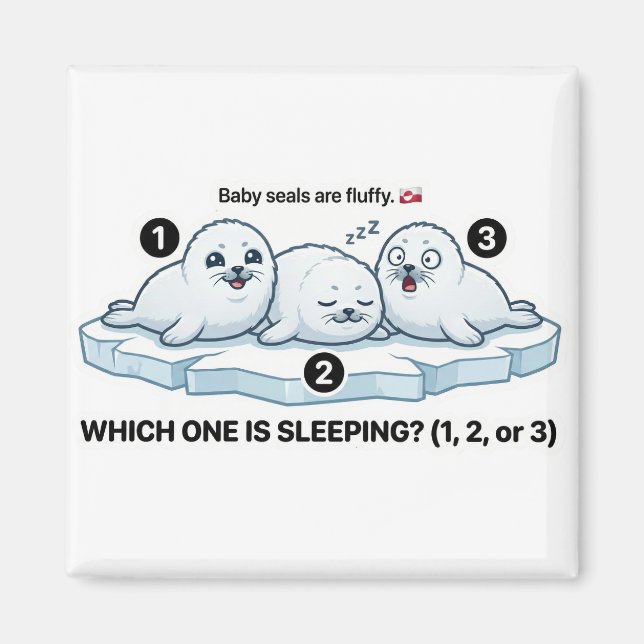Imã Which One Is Sleeping? – Baby Seal Learning Magnet (Frente)