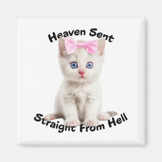 Imã Whimsical Cat