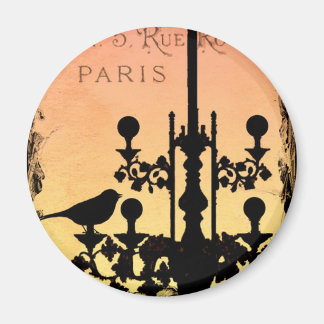 Imã * WHiMSiCaL PaRiS MaGNeT*