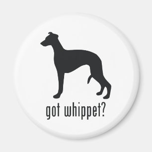 Imã Whippet