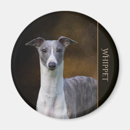 Imã Whippet