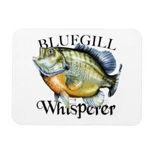 Ímã Whisperer Bluegill