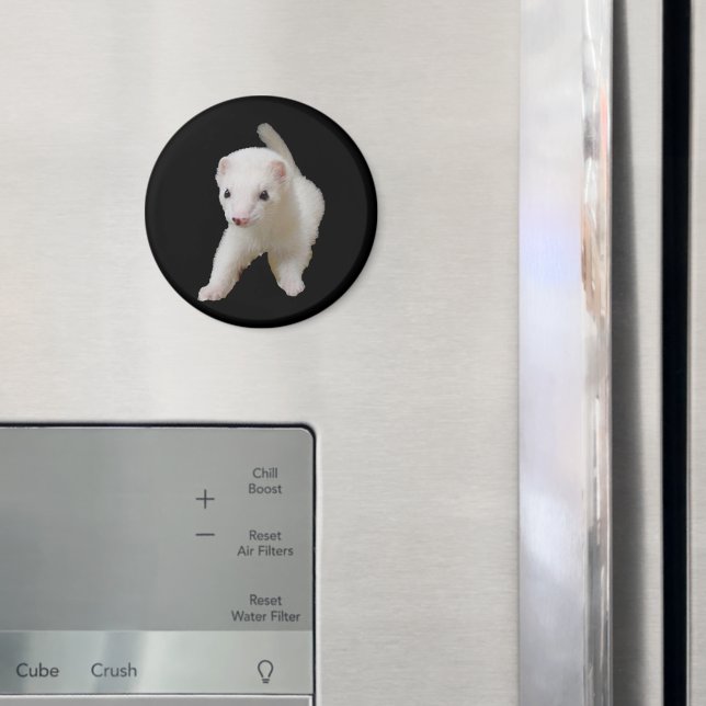 Imã White Baby Ferret Magnet (In Situ (Fridge))