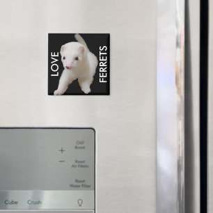 Imã White Baby Ferret Magnet