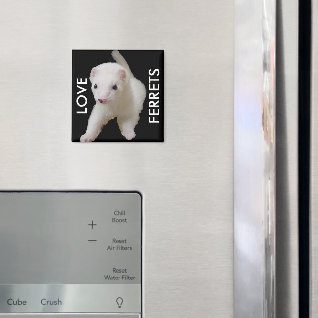 Imã White Baby Ferret Magnet (In Situ (Fridge))