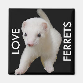 Imã White Baby Ferret Magnet
