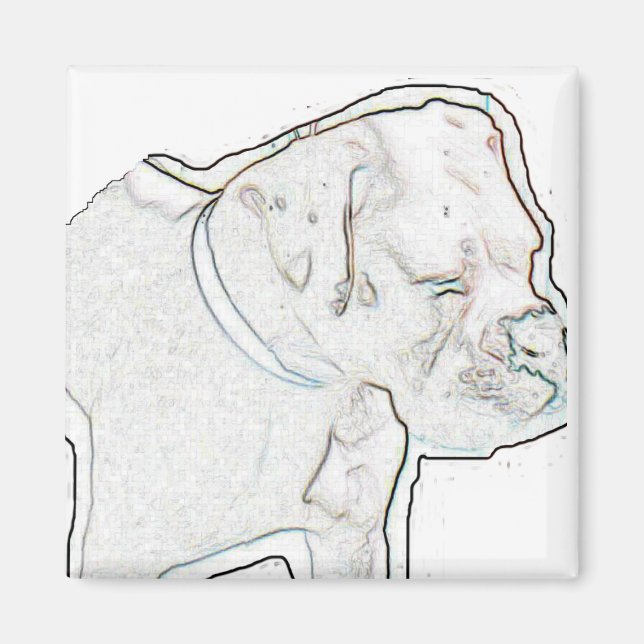 Imã White Boxer (Frente)
