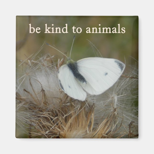 Imã White Butterfly "Be Kind to Animals" Magnet (Frente)